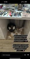 Моделката Деяна Кръстева захапа бившата на Филип Буков (Снимки)