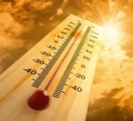 Как да ни е хладно в горещата вълна?