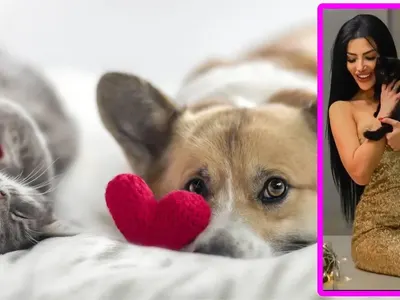 Лейди България се бори за зоополиция