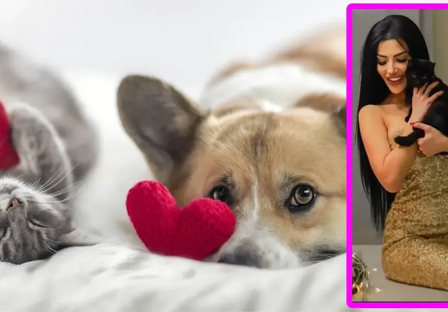 Лейди България се бори за зоополиция