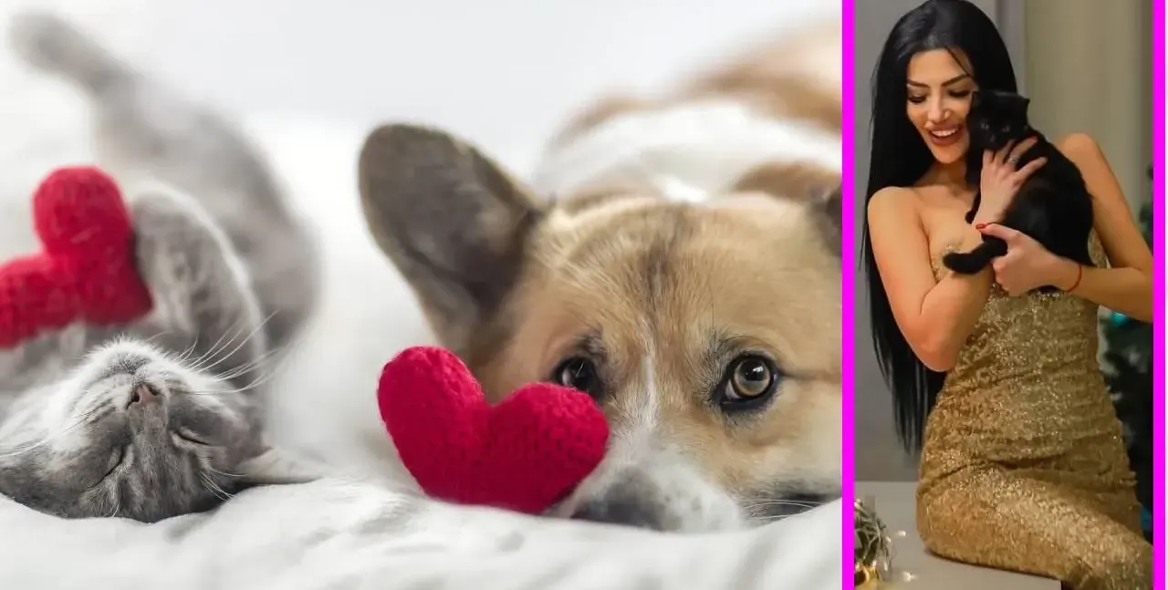 Лейди България се бори за зоополиция