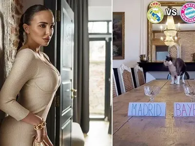 О, Боже! Котето на Николета предсказва футболни победи (Снимки)