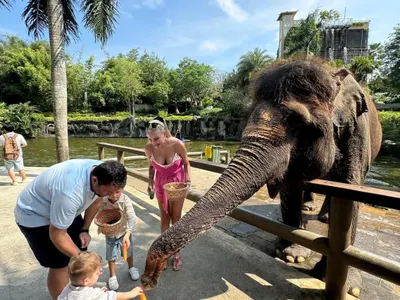 Поредните 20 бона за почивка ПРОФУКАХА Батинкови! Тоца: Аз съм Денерис Таргериан