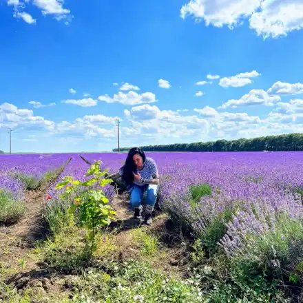 Цеци Красимирова плува в море от лавандула