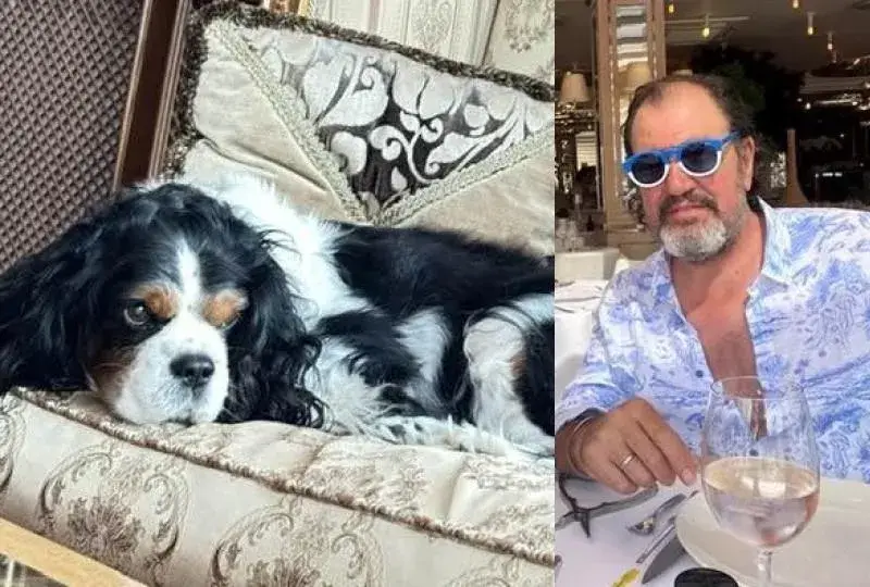 Дядо Гущеров празнува  рождения ден на кучето, но не и на внучето