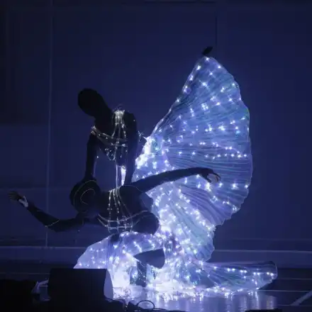 Осем премиери ще предложи 15-ото издание на фестивала „Опера в Летния театър“ във Варна