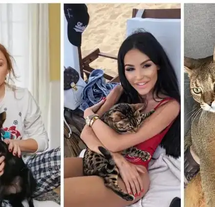 Домашните любимци на звездите  – от диви котки и померани до „улична превъзходна“ (Снимки )