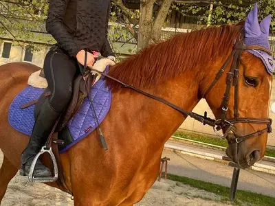 Синьо лято: Златка учи сина си да рисува, Джулката - да свири на пиано...