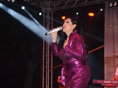 Драгана Миркович кърти оградата на панаира във Видин (ВИДЕО)