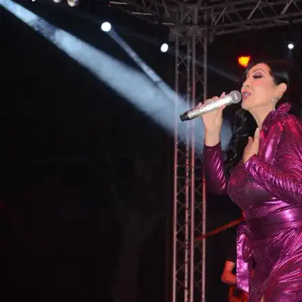 Драгана Миркович кърти оградата на панаира във Видин (ВИДЕО)