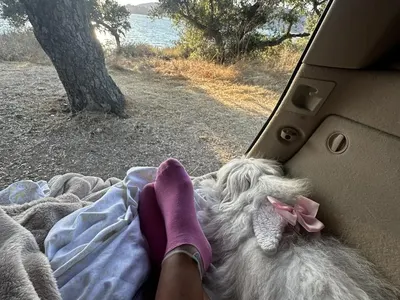 Пантелей пътник! Анита Мейзер заживя в джип!