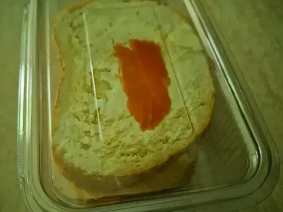 Умря от глад: Димо Алексиев показа с какъв БОКЛУК го хранят в „Игри на волята” СНИМКИ