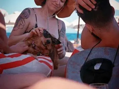 Врачански: Вече искам дете, но брак ще сключа само срещу заплащане! СНИМКИ