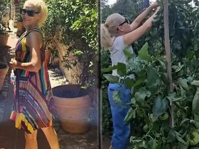 Гала скочи от  Френската Ривиера  на колците с домати