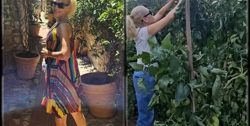 Гала скочи от  Френската Ривиера  на колците с домати