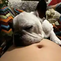 Жената до Врачански показа снимки с бременно коремче! (+Всички подробности за Златина)