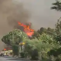 Нимфоманка съблазнява огнеборци с пламъци
