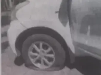 ДРАМА: Гумата на Джулката гръмна в гората на маймуните СНИМКИ