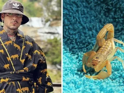 Драми: Венци Венц преборил рака с отрова от син скорпион