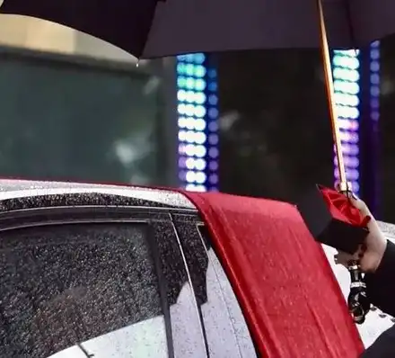 НА НОВАТА КОЛА: Софи плати 7 бона за номер! СНИМКИ