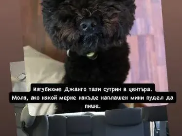 Радина призна, че живее с Пламен! Димов води децата й на училище (СНИМКИ)