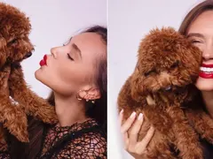 Кучето на Мудева мърмори