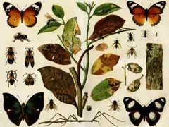 Смайващите лекарства на руските селяни