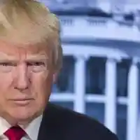 БГ звезди разделени за Тръмп