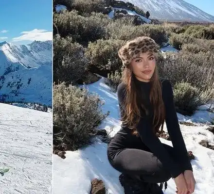 Мацки налазват Никола Цолов в Банско