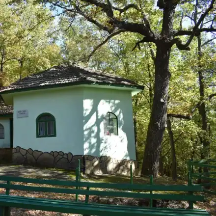 Светец и змей закрилят Севлиевско поле