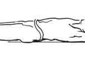 Упражненията на египетските фараони след събуждане