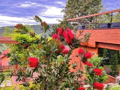 Вижте малката къща на Цеци Красимирова в София! Заряза палат в Барселона