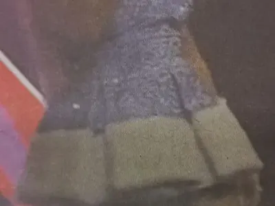 „Яката дупара“ на Гери-Никол набъбна до дебела гъзяга (СНИМКИ)