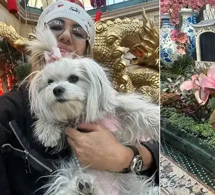 Анита Мейзер празнува Китайската нова година с кучето си СНИМКИ