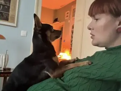 БОМБА: Рут Колева ражда след 2 месеца, но не обелва дума за бащата на бебето! (показа голям корем - СНИМКИ)