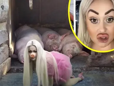 Брутална деградация! Ваня Великова загрухтя в клипа и песента си (Потрес снимки)