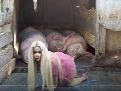 Брутална деградация! Ваня Великова загрухтя в клипа и песента си (Потрес снимки)