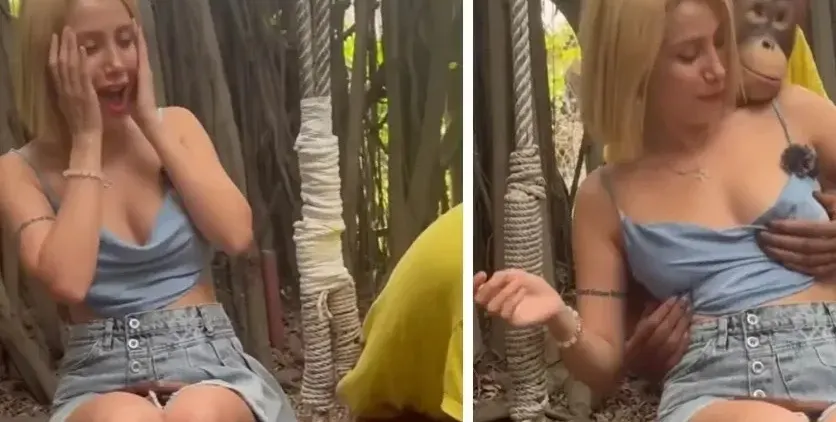 Маймуна хвана за гърдите туристка, ето какво се е случило ВИДЕО 18+