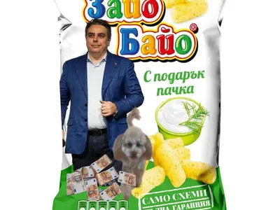 Позор! Защо не питат Асен Василев как ще покрият дупката в бюджета от контрабанда? Кой ще отговаря за пуделите и пачките?