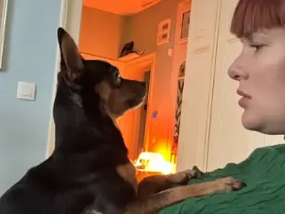 ПРЕДИ МИНУТИ!! Бременната Рут Колева разби слуха, че няма мъж: Ето го - разведен чужденец е! (МНОГО СНИМКИ)