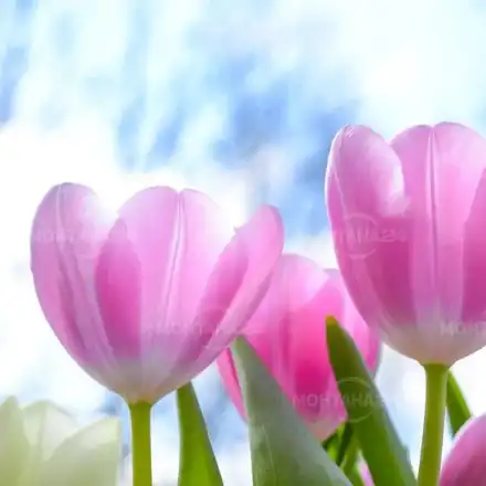 След серия ледени дни: Идват 20 градуса от тази дата през февруари