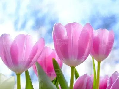 След серия ледени дни: Идват 20 градуса от тази дата през февруари