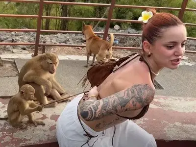 Дибидюс: Маймуни съблякоха ергенката Валерия в Тайланд (СНИМКИ)