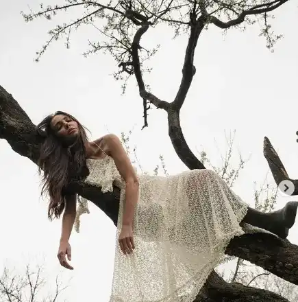 Николета кацна на клон