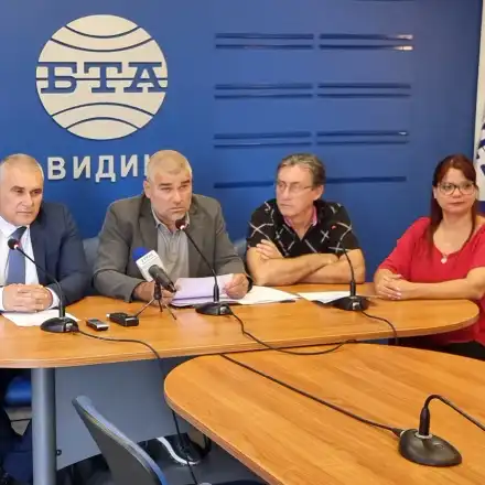 Партийна секретарка и съпруга печелят обществени поръчки във Видин