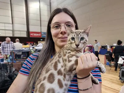 Редки и екзотични породи котки участваха в международно изложение във Варна (снимки)