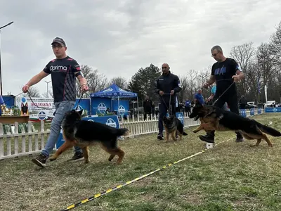 Редки и екзотични породи котки участваха в международно изложение във Варна (снимки)