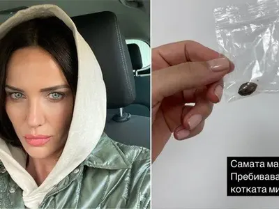 Спасиха с операция котарака на Мария Силвестър