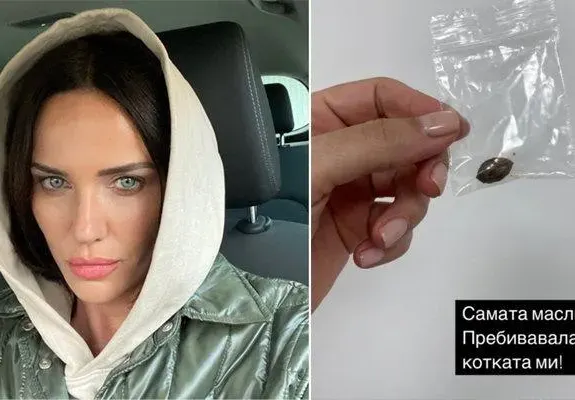Спасиха с операция котарака на Мария Силвестър