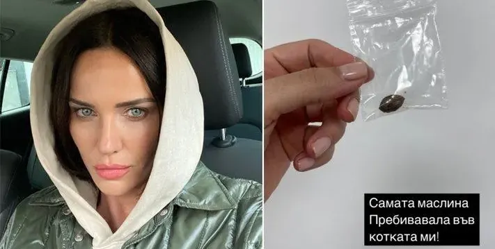 Спасиха с операция котарака на Мария Силвестър